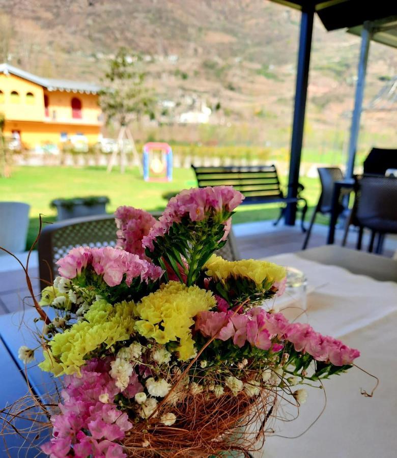 Agriturismo Terra Del Sole Albosaggia Exterior foto